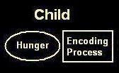CHILD'S Hunger Encoding Process: