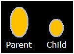  Oval for the parent is a larger size than the oval for the child. 